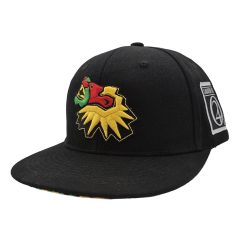 Reggea Lake Festival - Snapback Hat